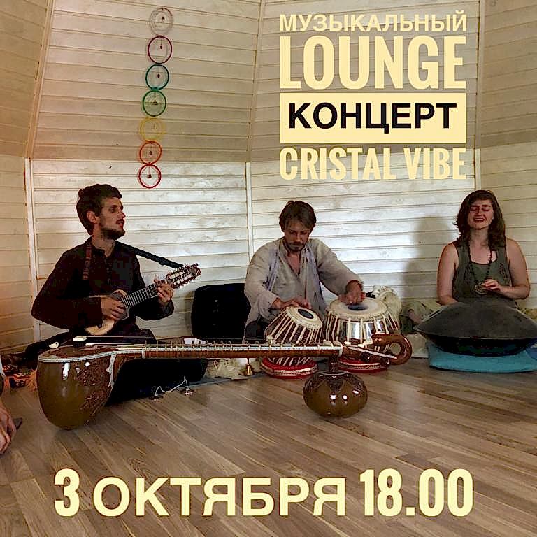 Cristal Vibe Музыканты, которые играют на уникальных инструментах в разных форматах.